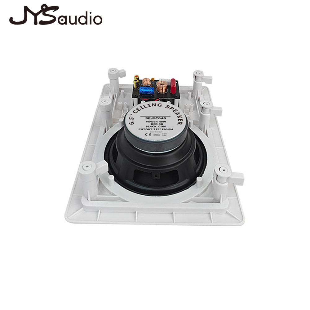 In-wall Speaker Two-way Loudsp - đánh giá và giá Home Cinema Sound System