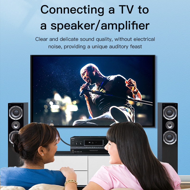 CHOSEAL RCA Cable Digital Coax - đánh giá và giá Home Cinema Sound System